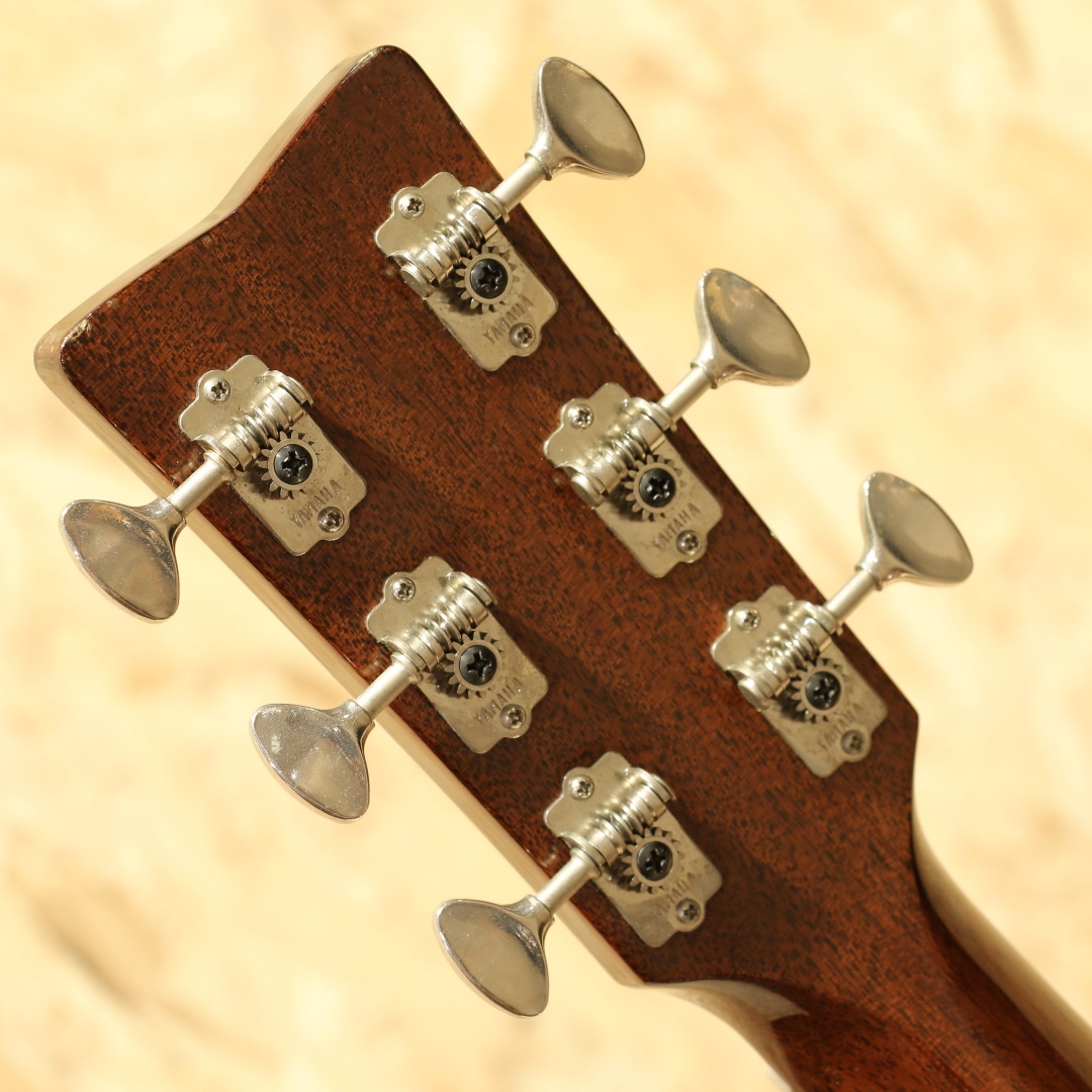 The FG 2002: アコースティックギター｜三木楽器公式通販サイト