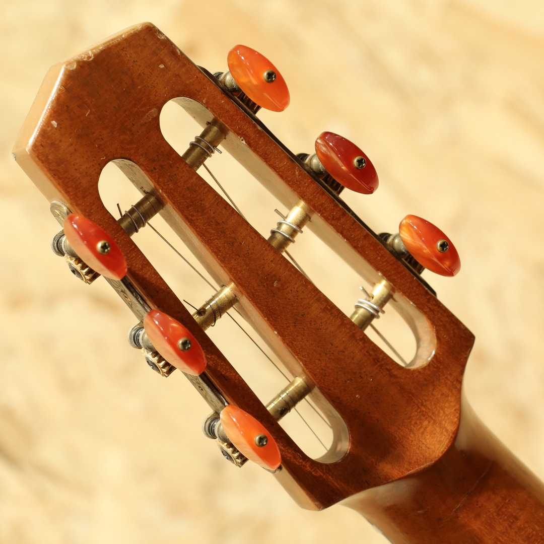 Maccaferri Type 2000's: アコースティックギター｜三木楽器公式