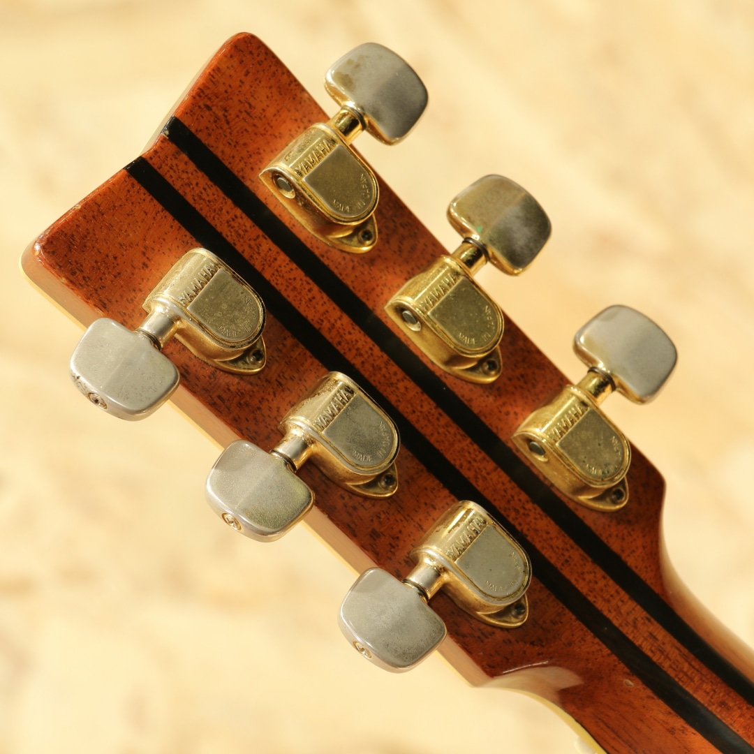 L-53 Jacaranda 1976: アコースティックギター｜三木楽器公式通販サイト