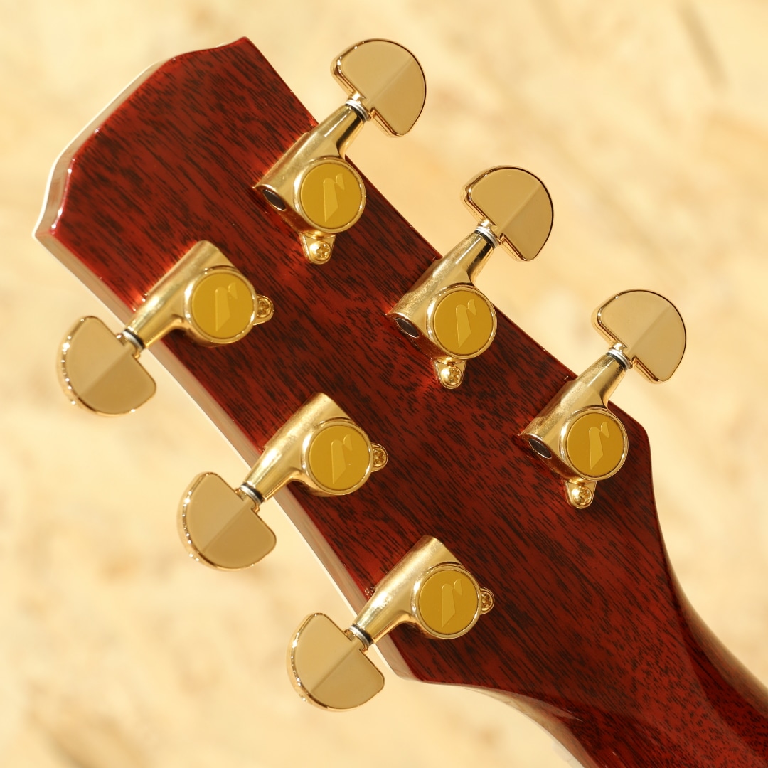 TC-16 Custom 2023: アコースティックギター｜三木楽器公式通販サイト