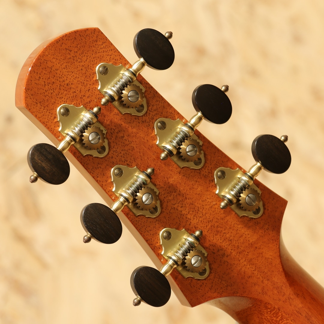 コンポーネントギター Model C Custom 13F Joint Flame Maple 2018: アコースティックギター