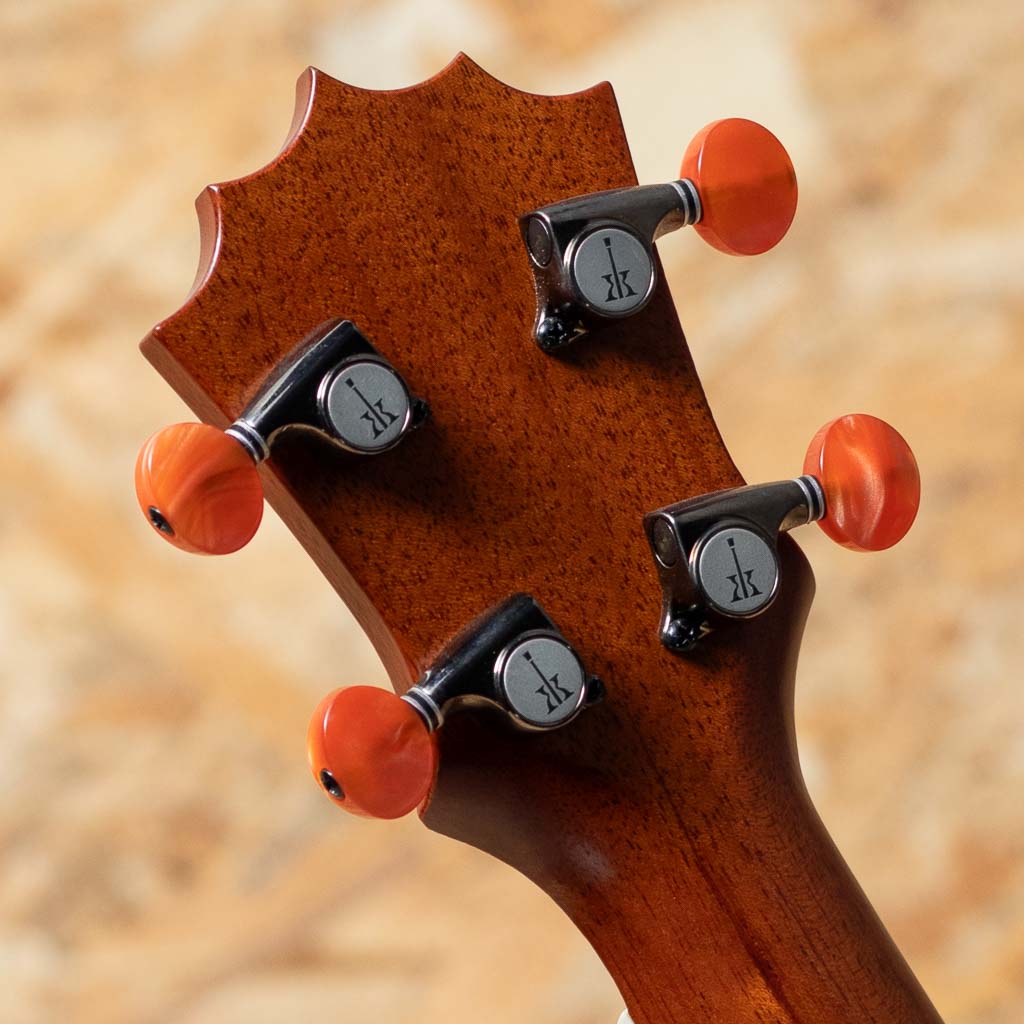 KCNP-10 Naupaka Concert