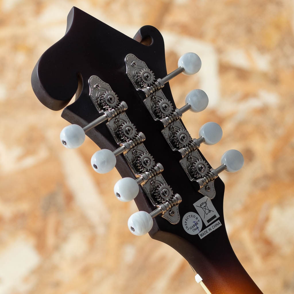 Inspired by Gibson F-5 Studio VS