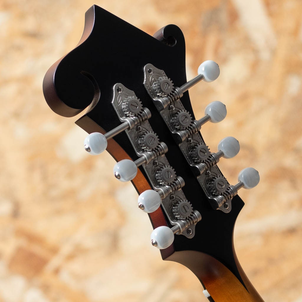 Sierra Hull F-5G