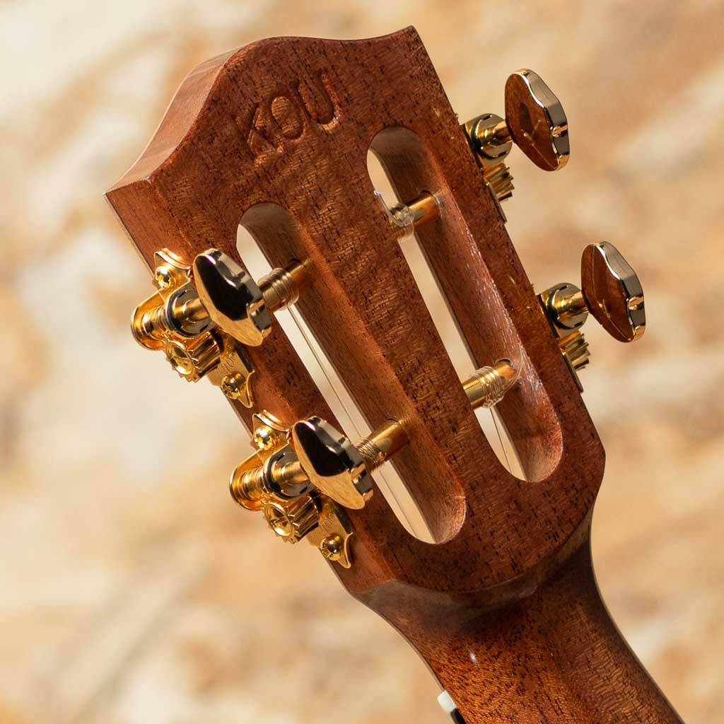 CEDMP-LN Concert Semi Long Neck