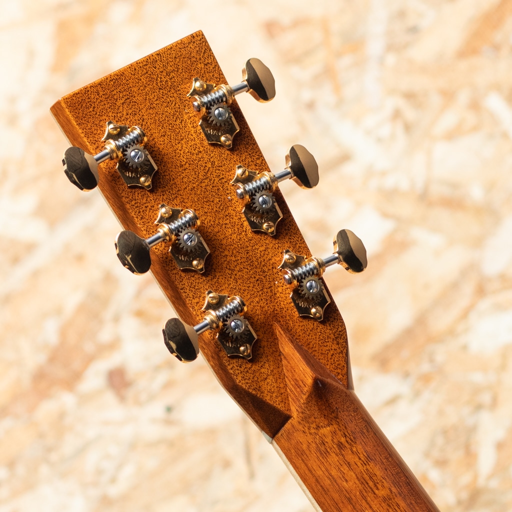 CTM D Adirondack Spruce×Cocobolo 2020