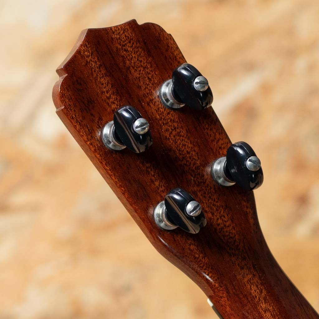 Custom Soprano Model