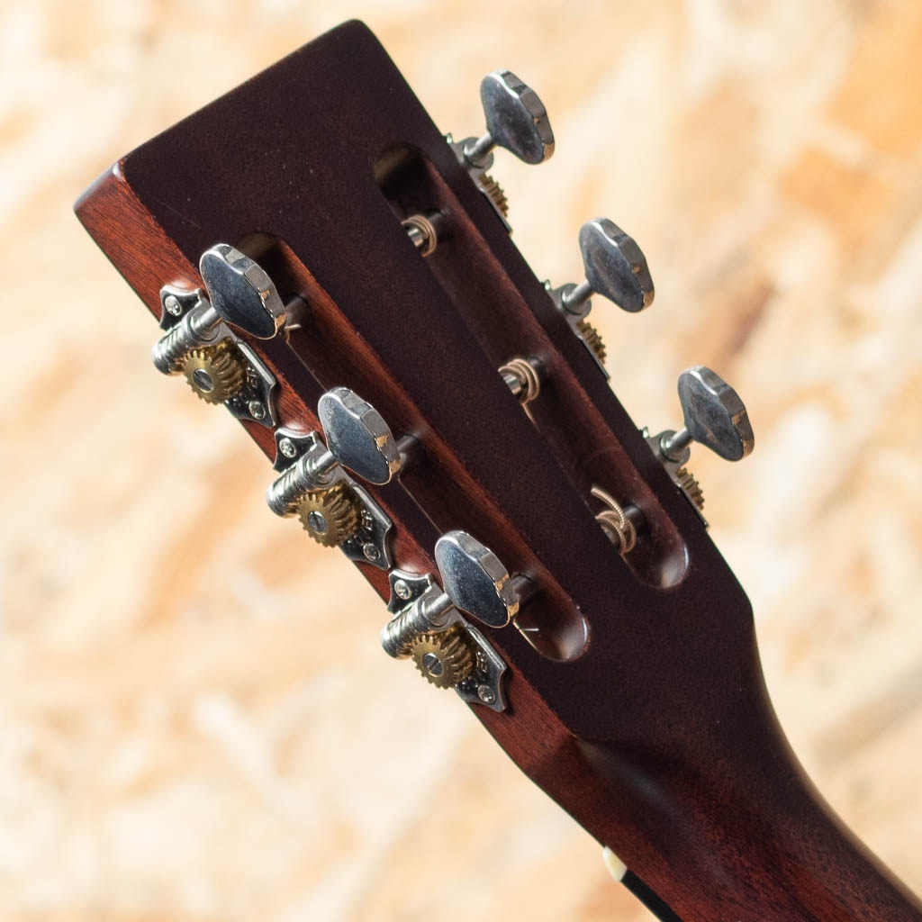 CTM OO-18DBS 2022