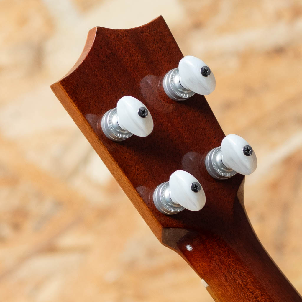 HF-1L Soprano Long Neck 2013