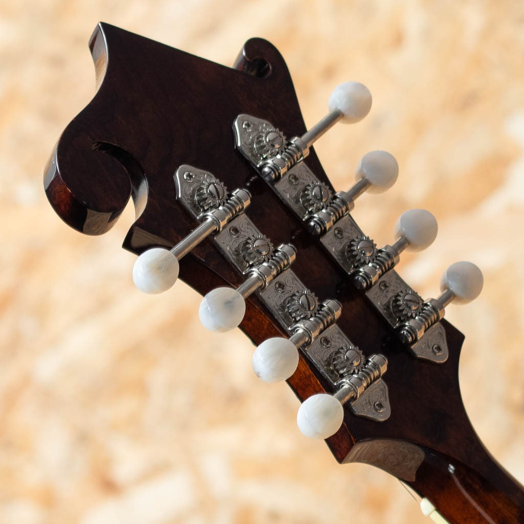 MD-515 A.Red 2013: Folk Stringed Instruments｜三木楽器公式通販サイト