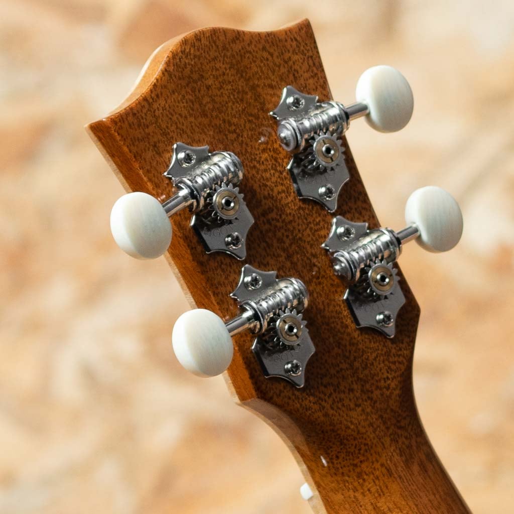 THC-2233 CST Concert