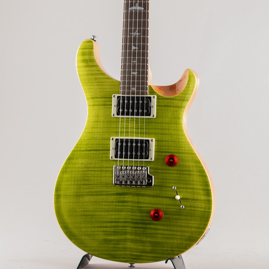 SE Custom 24 / Eriza Verde 【2024】(アメリカ村店 Eriza Verde