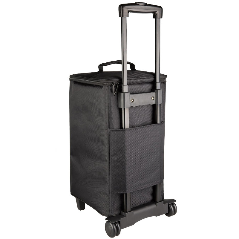 NUX Busking 200FR (NBA-200FR) w/ Trolley Bag