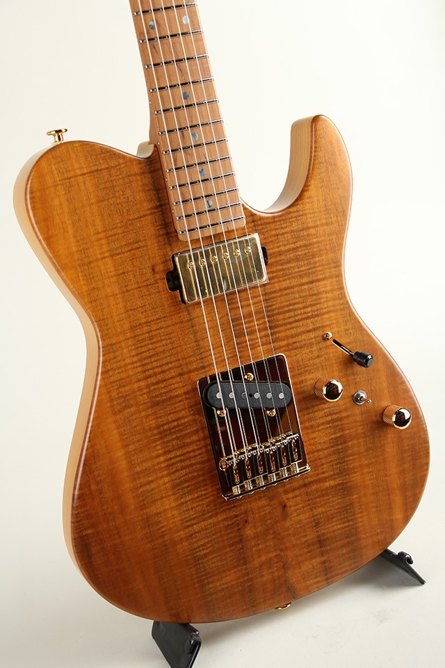 Expert ILIAD EW2-HS-RM / Vintage Natural【S/N H250486】: エレキ