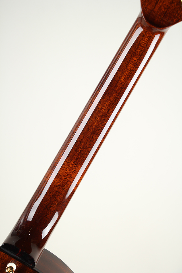 Ladybug Mahogany-C Brown【S/N:RZO929】