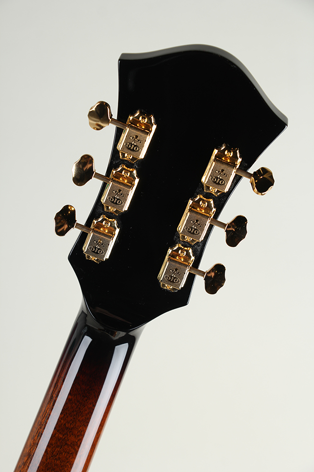 Ladybug SM-C Vintage Sunburst【S/N:RZO902】