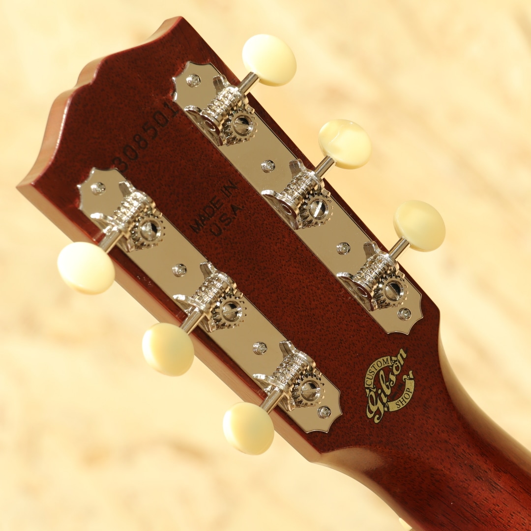 アシュトン エレクトリックアコースティックギター Ibanezより島村楽器限定販売のアコースティックギターが登場【数量限定