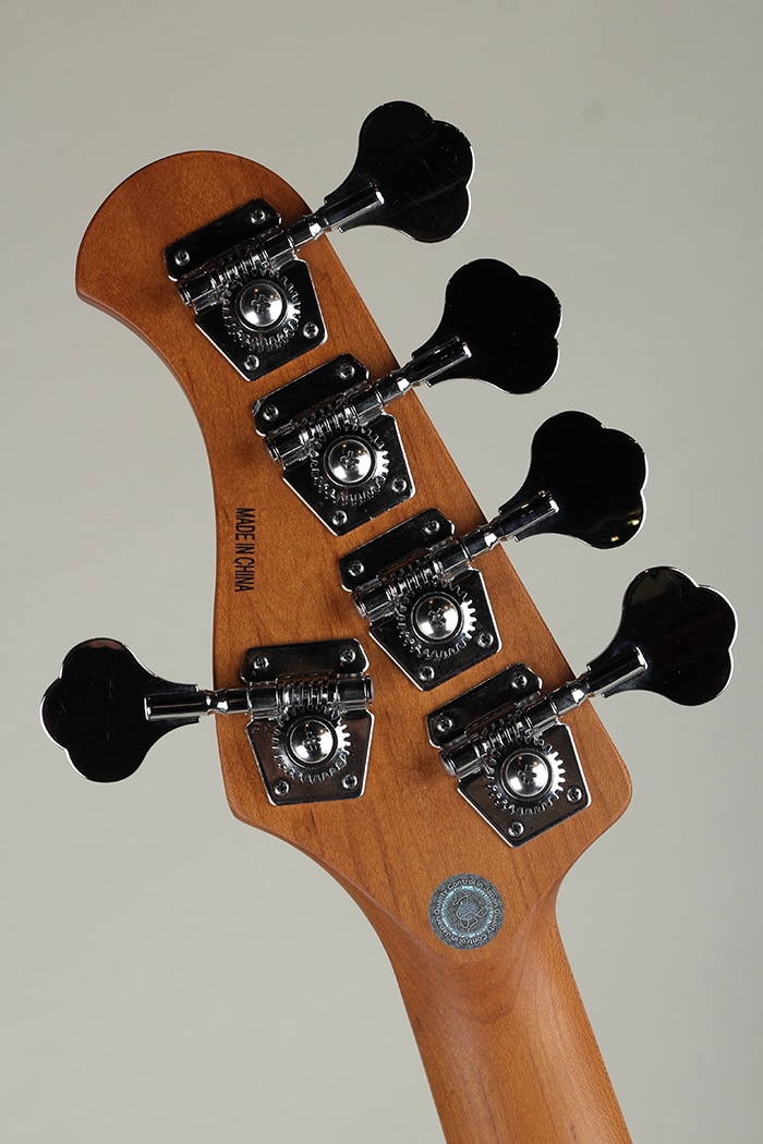 WJB5-1MS-DX-AC RSM/M MDG