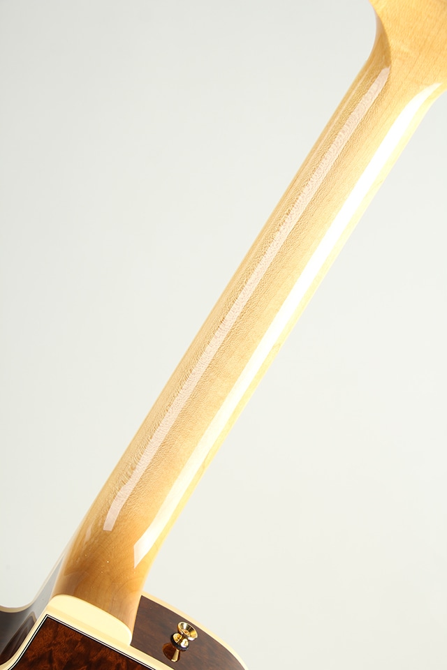 JF16 Imbuia Burl 2025