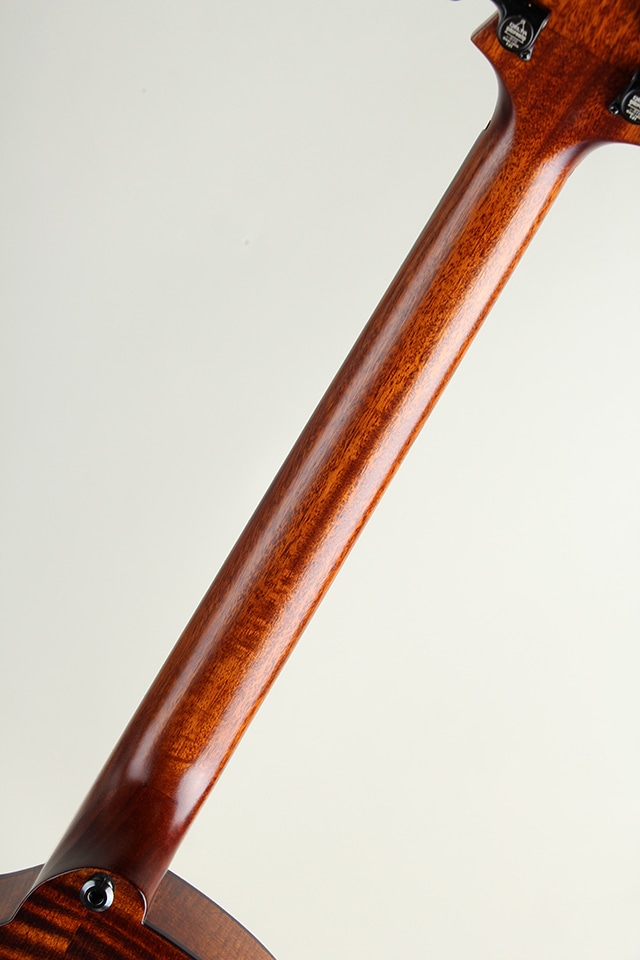 ストラトボディ ブラウン 3ピックアップ じゃじゃ馬と踊る：ストラトキャスター、スリーシングル攻略法｜かれら