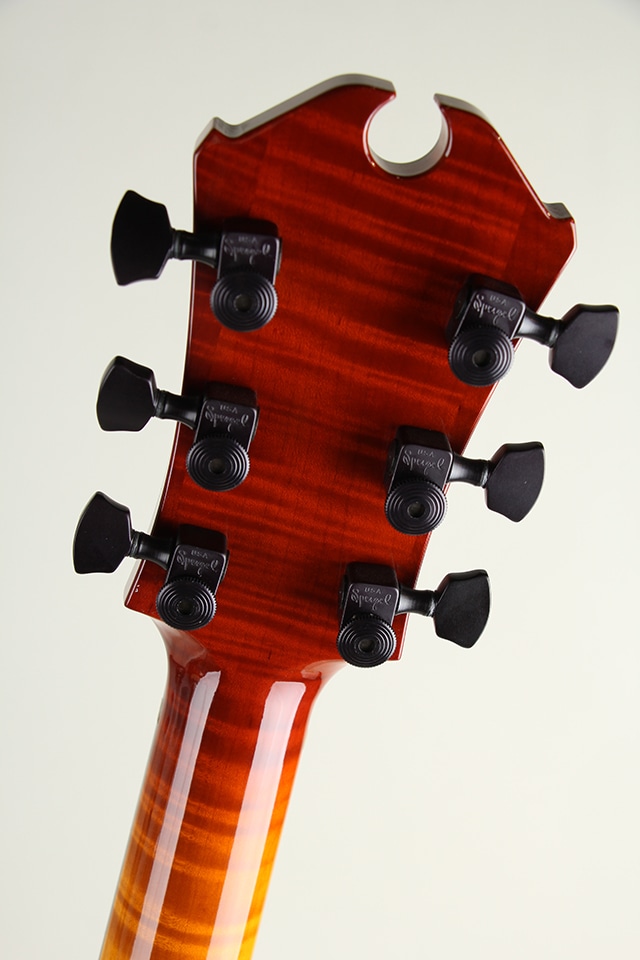 Semi-Hollow Rosewood Bridge and Ebony Tailpiece Spruce Top&Figured Maple Back