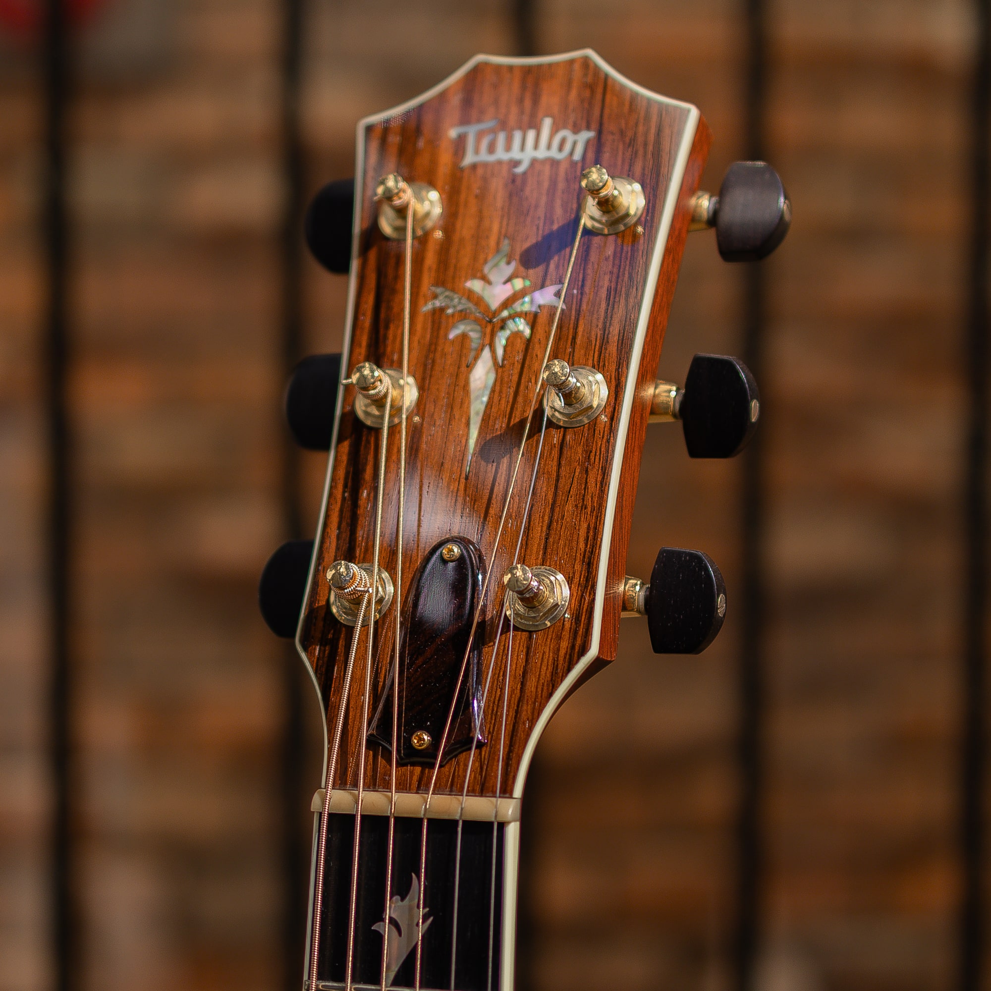 PS-15 Jacaranda / 1997