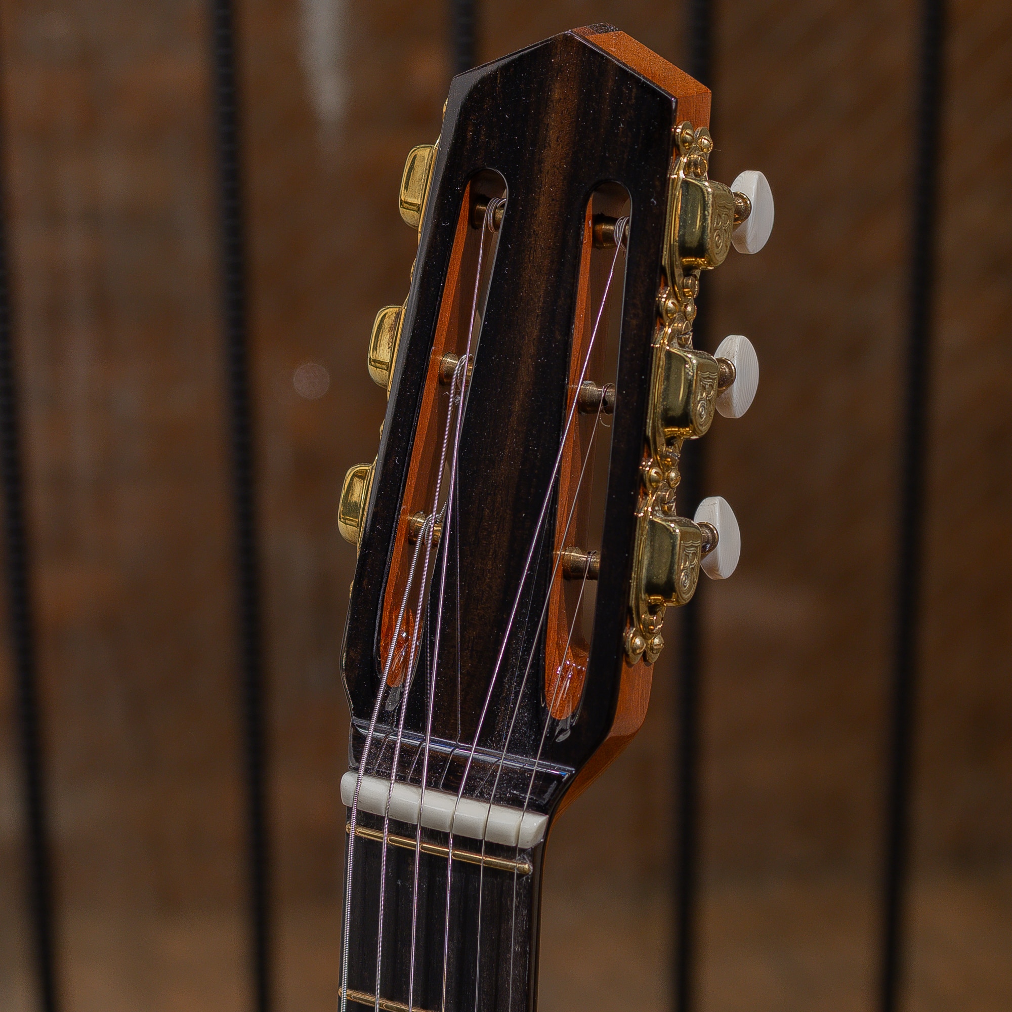 Grand Modele-Busato Style European Spruce / Ziricote
