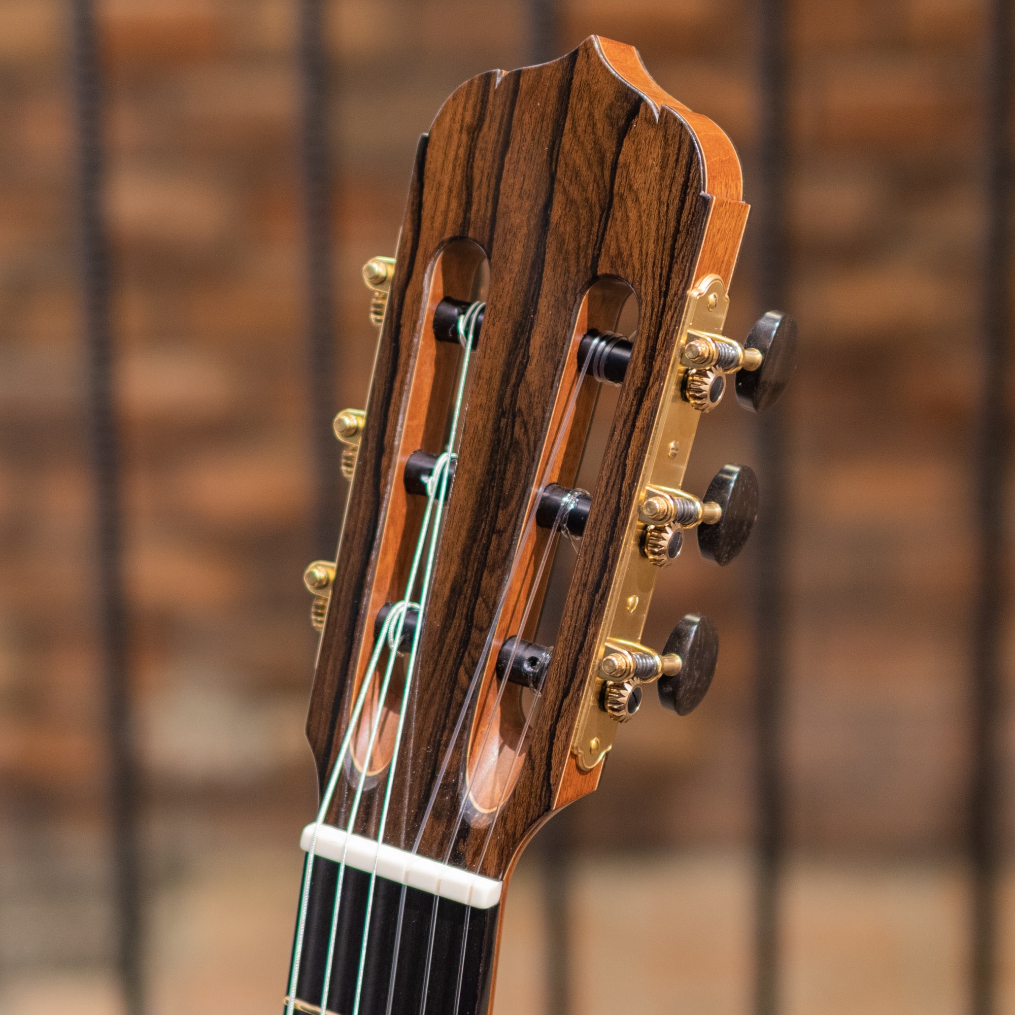 Jazz Nylon Lutz Spruce / Ziricote