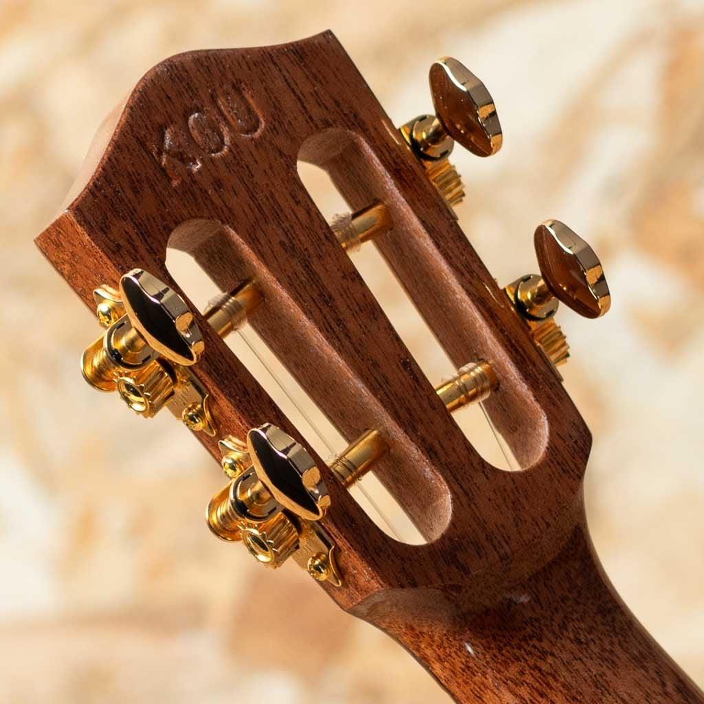 CBDK-LN Concert Semi Long Neck: ウクレレ｜三木楽器公式通販サイト