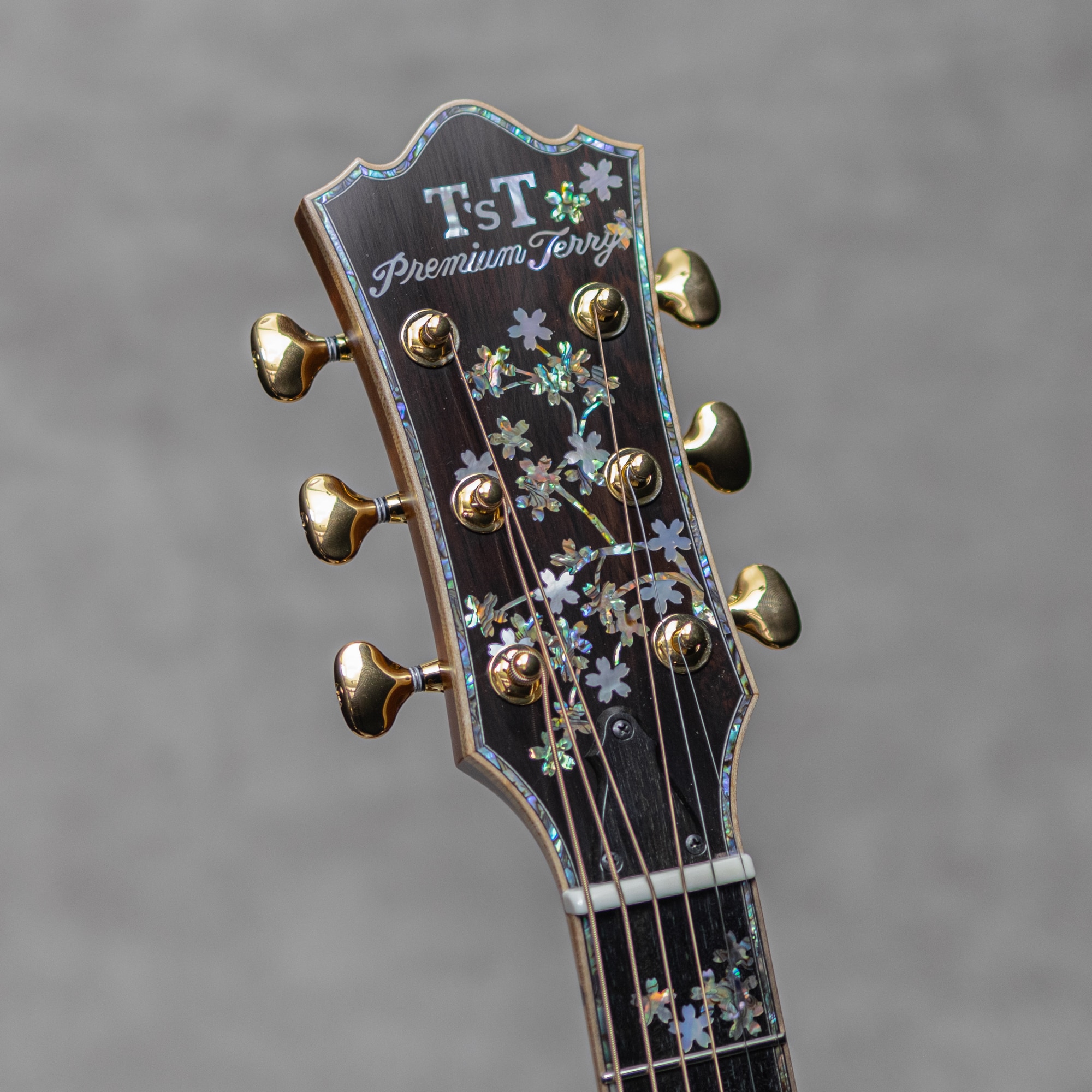 PTJ-100MR Acoustic INN 5th Anniv. Sitka Spruce /Madagascar Rosewood / 2023