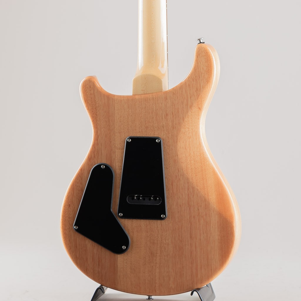 SE Custom 24-08/Turquoise【2024】