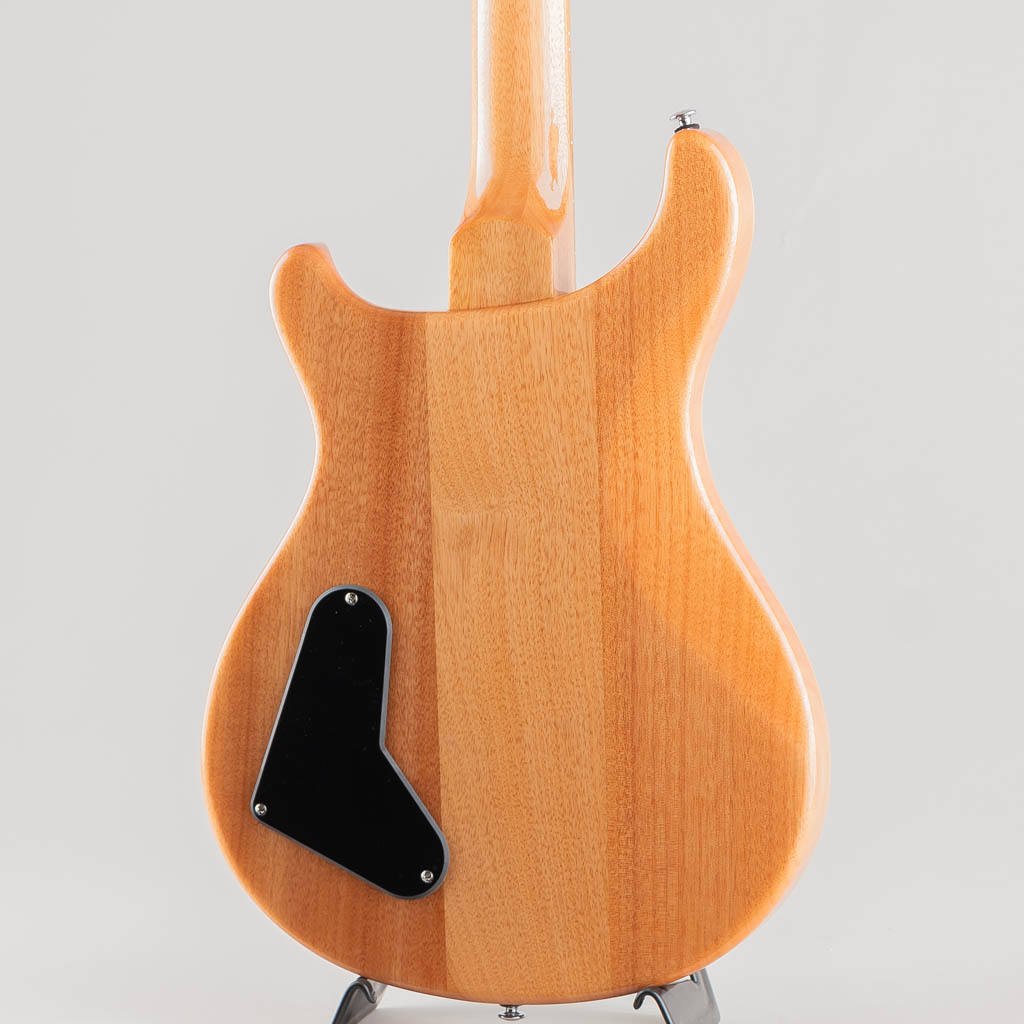 SE Paul's Guitar / Turquoise 【2023】