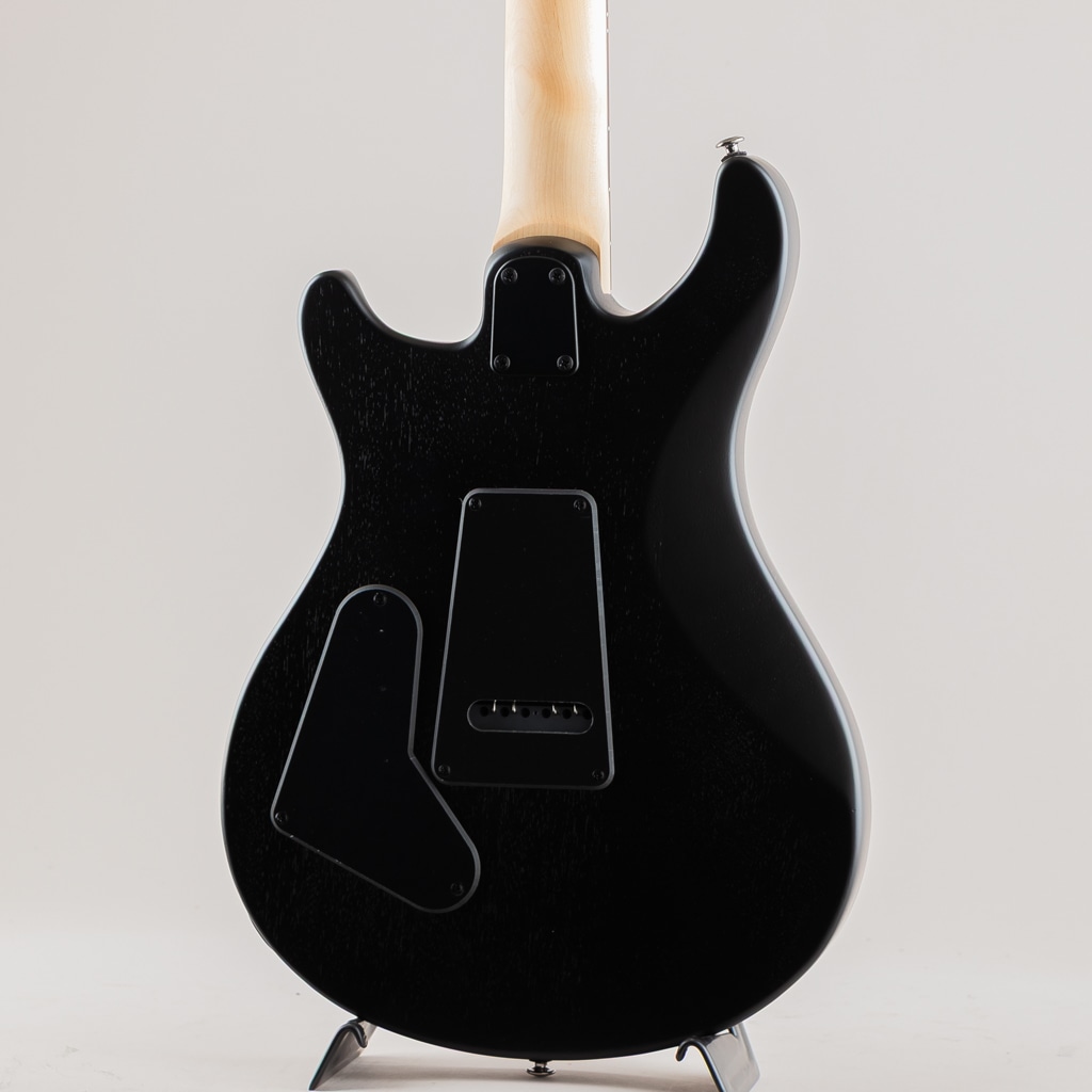 SE Swamp Ash CE 24 Sandblasted Limited / Sandblasted Blue 【2024】