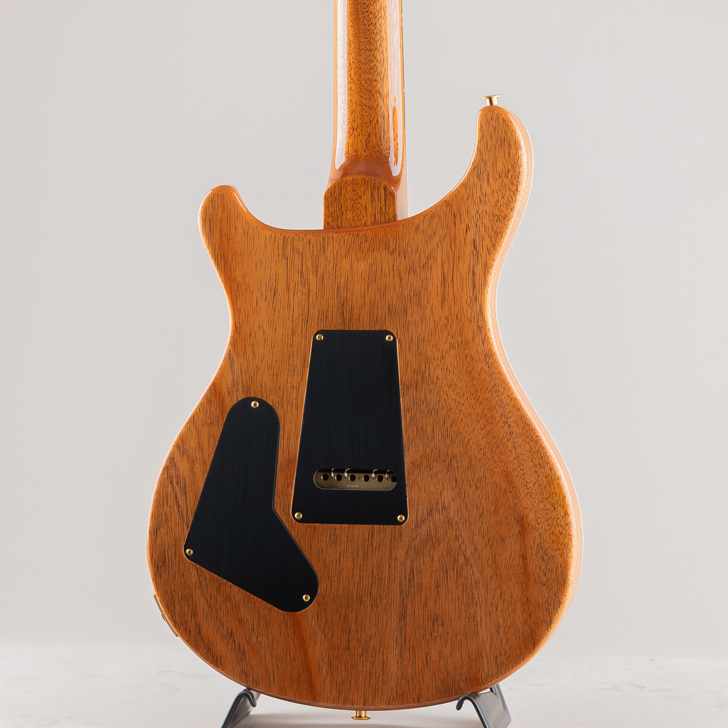 Custom24 10Top "DMO" Pickups Artic Blue 2025