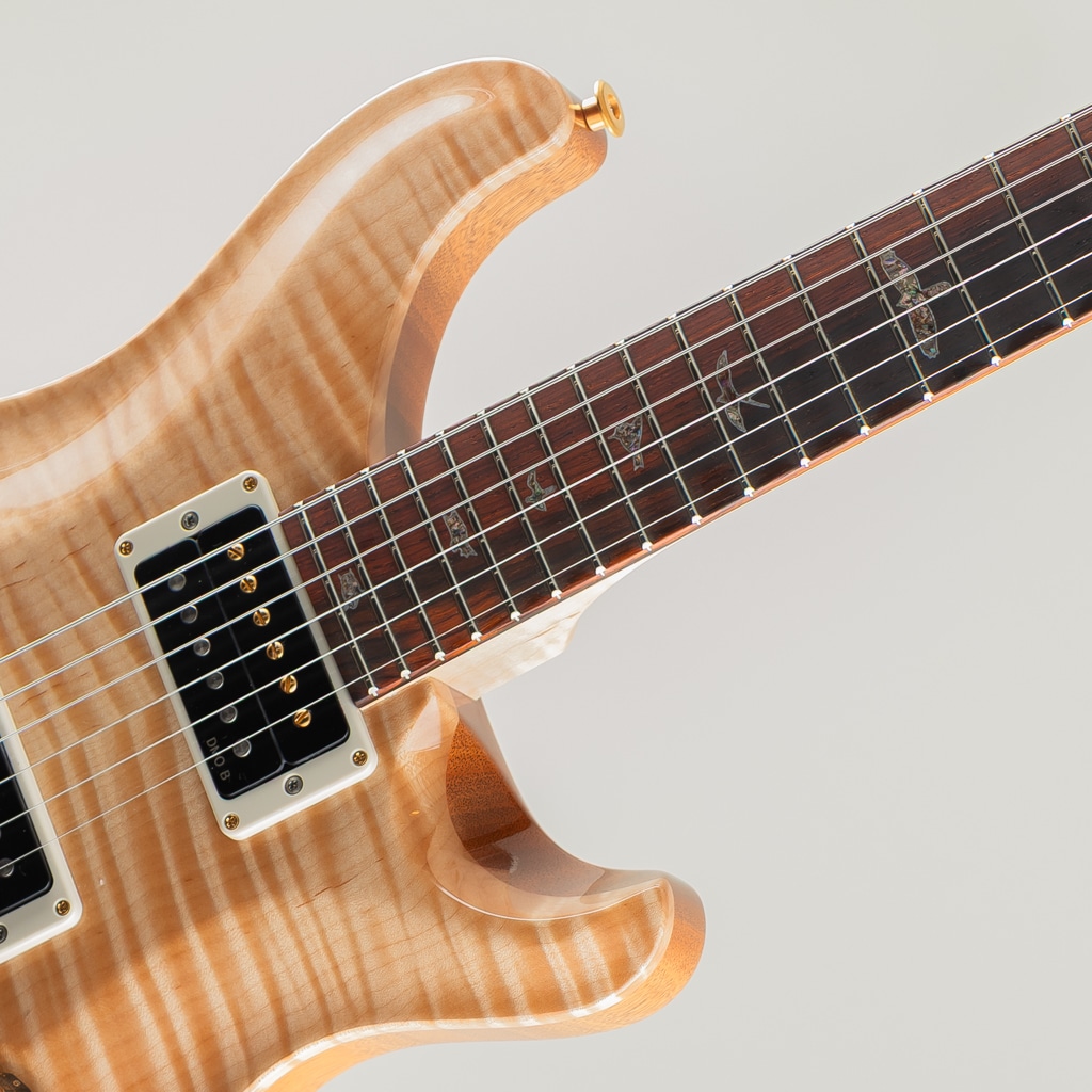 Wood Library Custom 24 10Top Natural Japan Exclusive 2026: エレキ