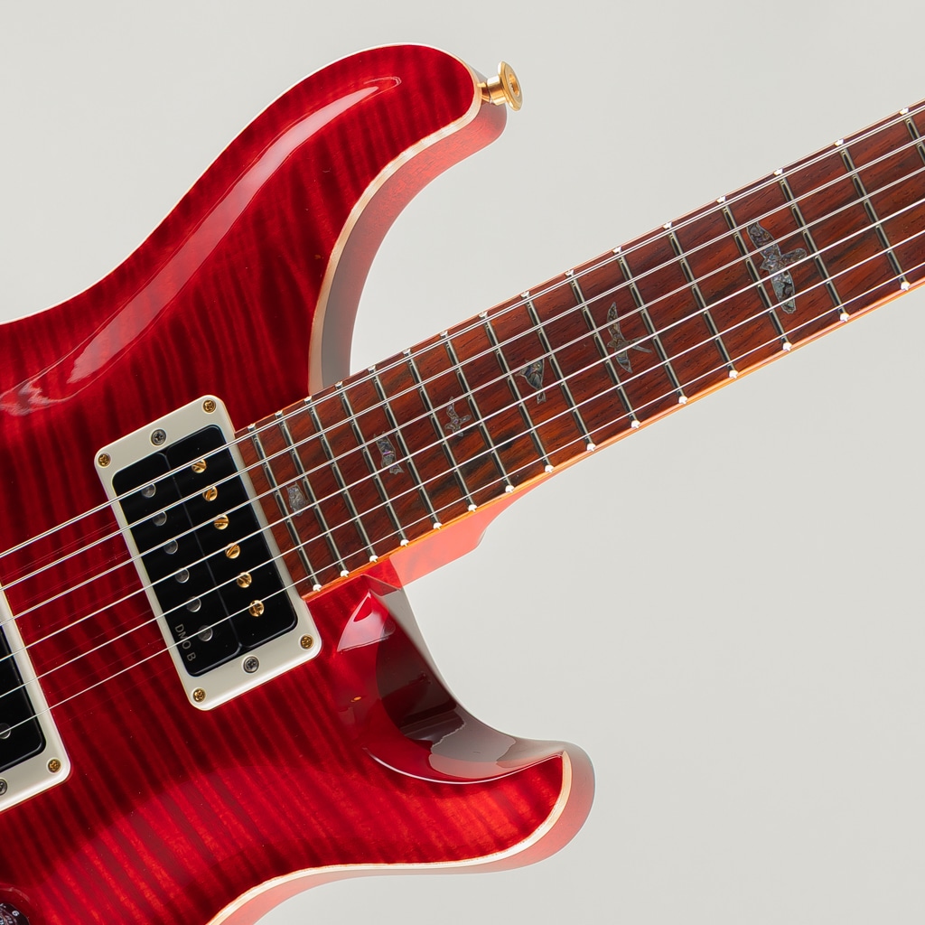 Wood Library Custom 24 10Top Ruby Japan Exclusive 2026: エレキ