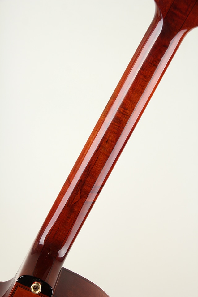 エレキギター用pickup Amazon | Donner エレキギター 初心者セット STタイプ SSS