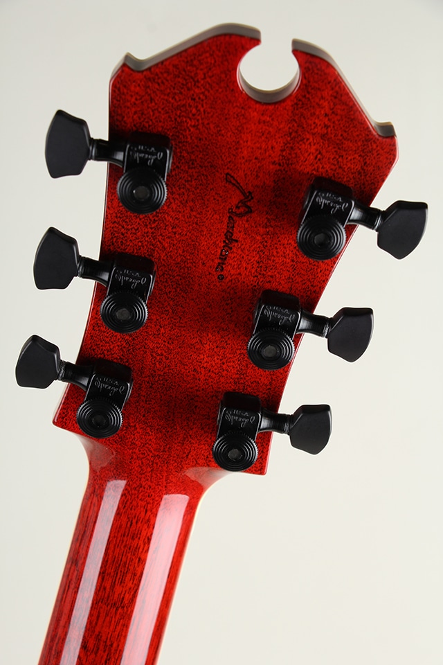 69 Burst "Pre-Columbian Birch Top"