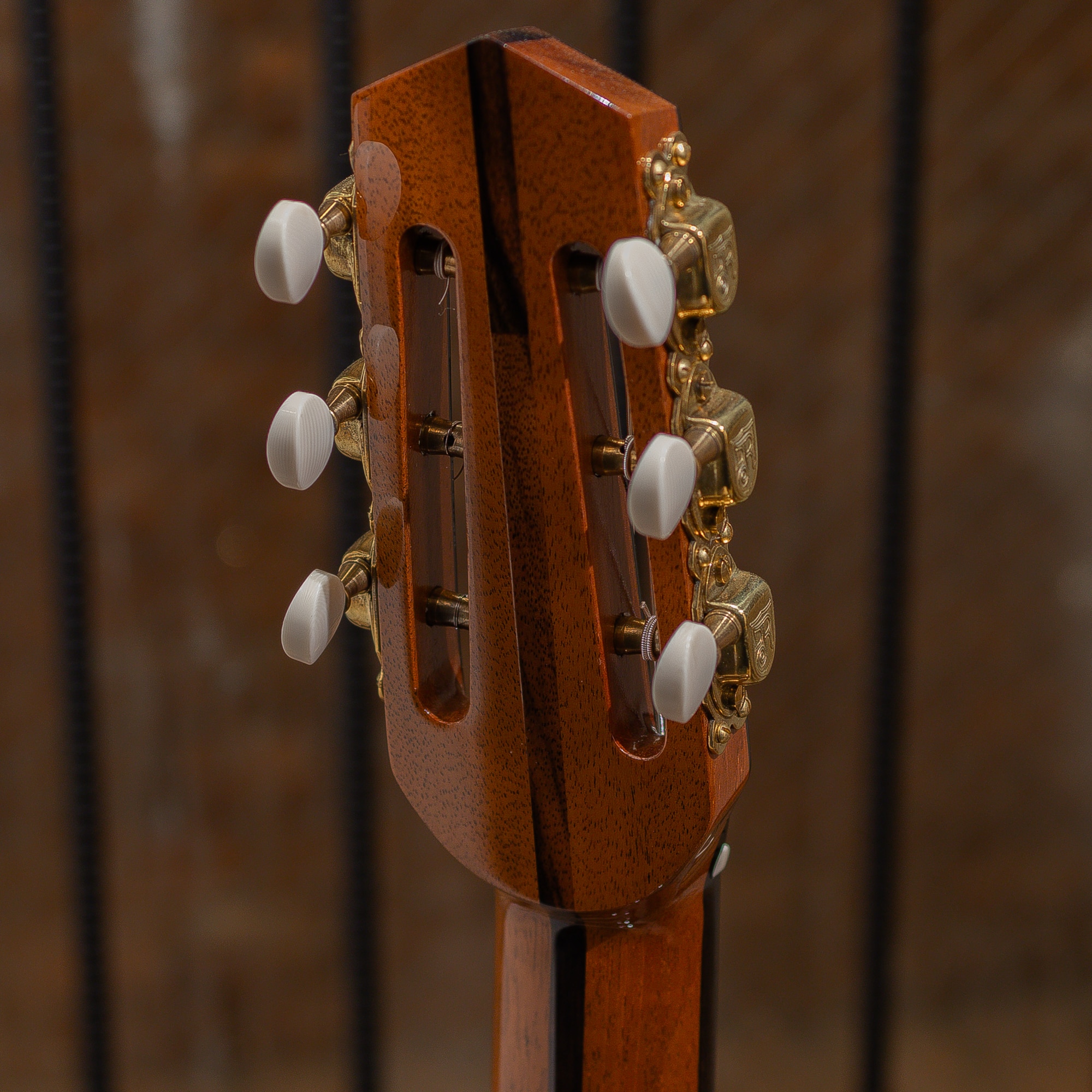 Grand Modele-Busato Style European Spruce / Ziricote