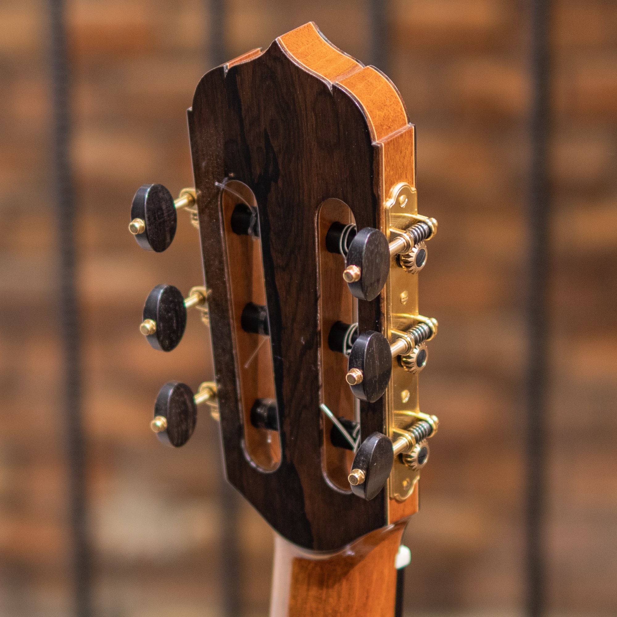 Jazz Nylon Lutz Spruce / Ziricote