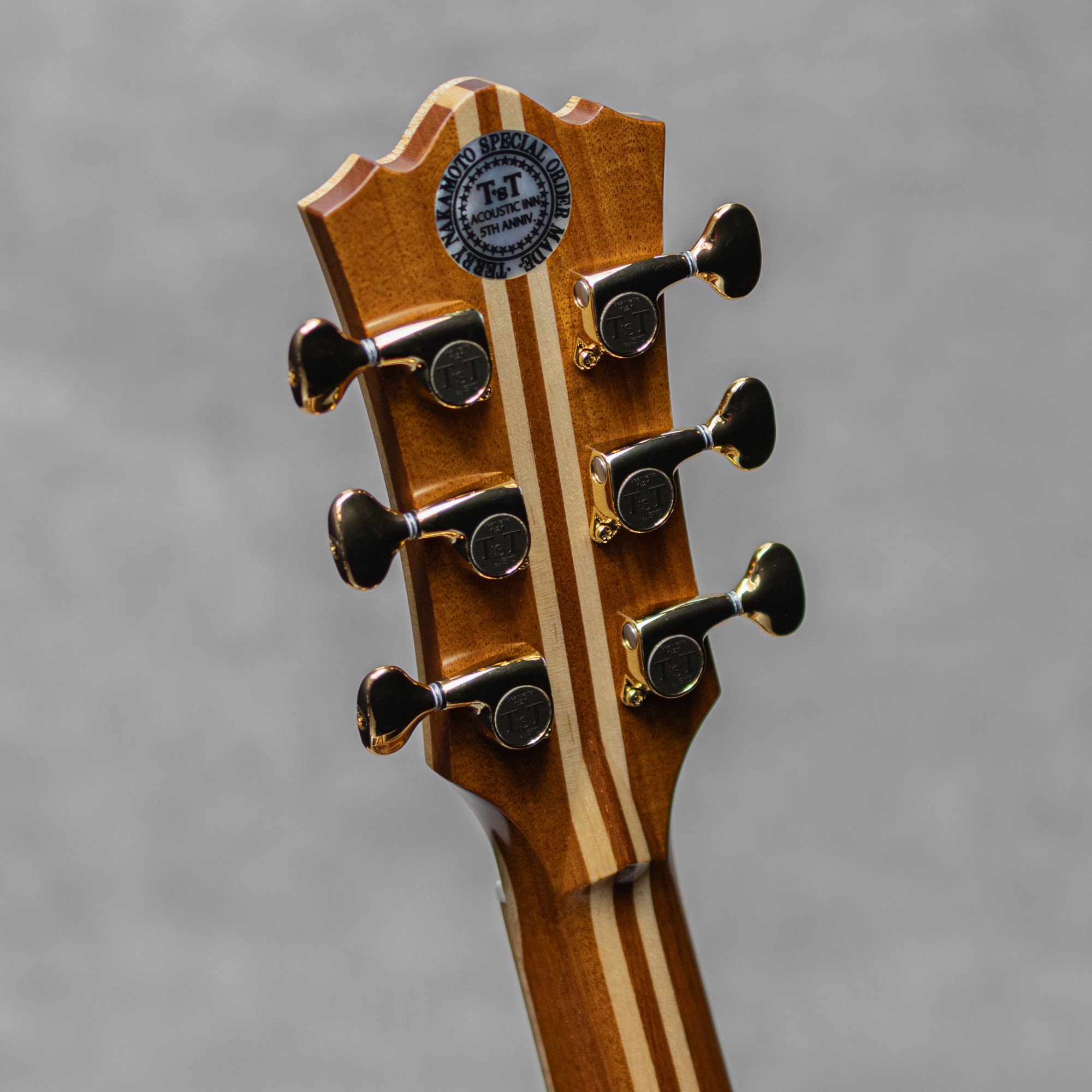 PTJ-100MR Acoustic INN 5th Anniv. Sitka Spruce /Madagascar Rosewood / 2023