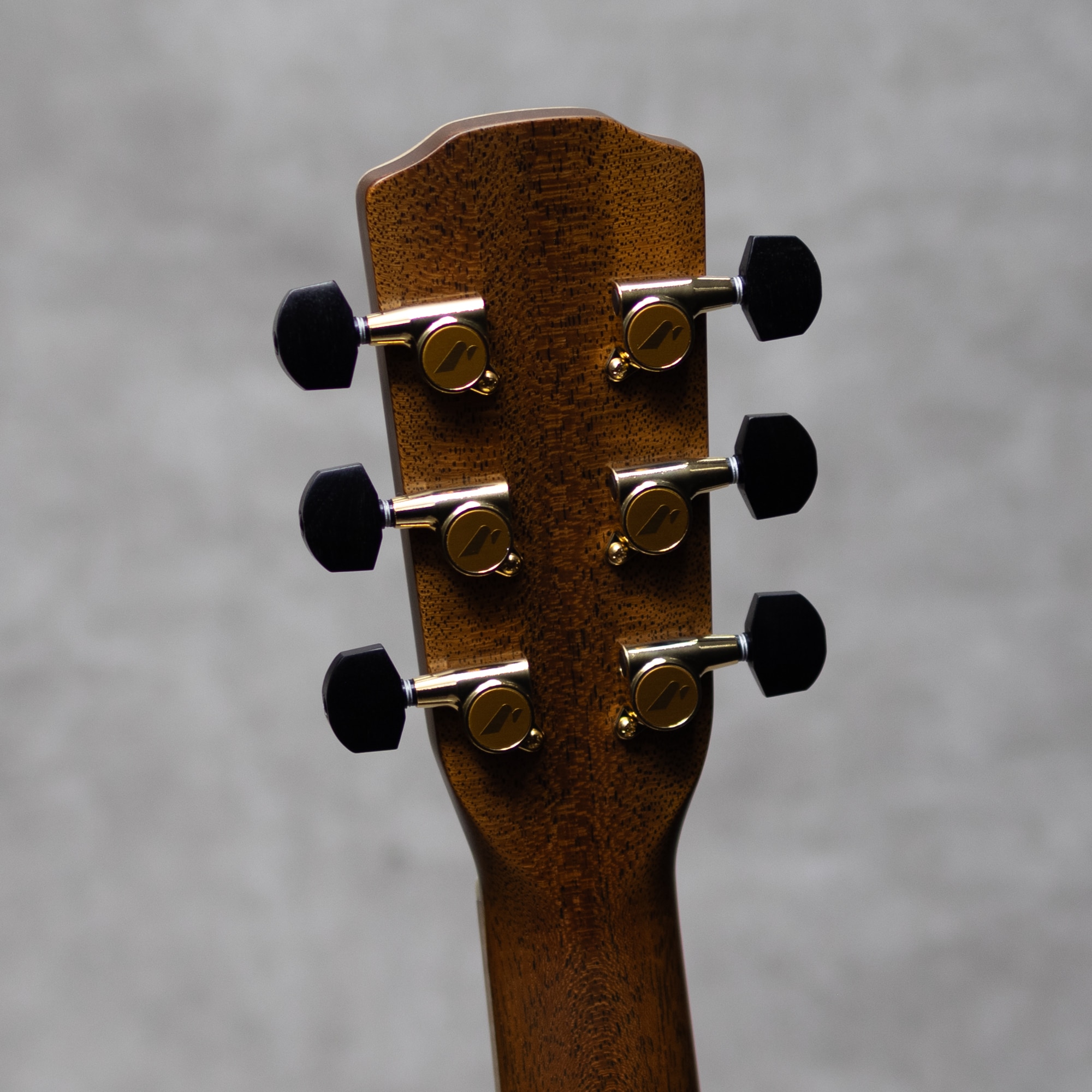 Morris S-101 III/LTD '24: アコースティックギター｜三木楽器公式通販