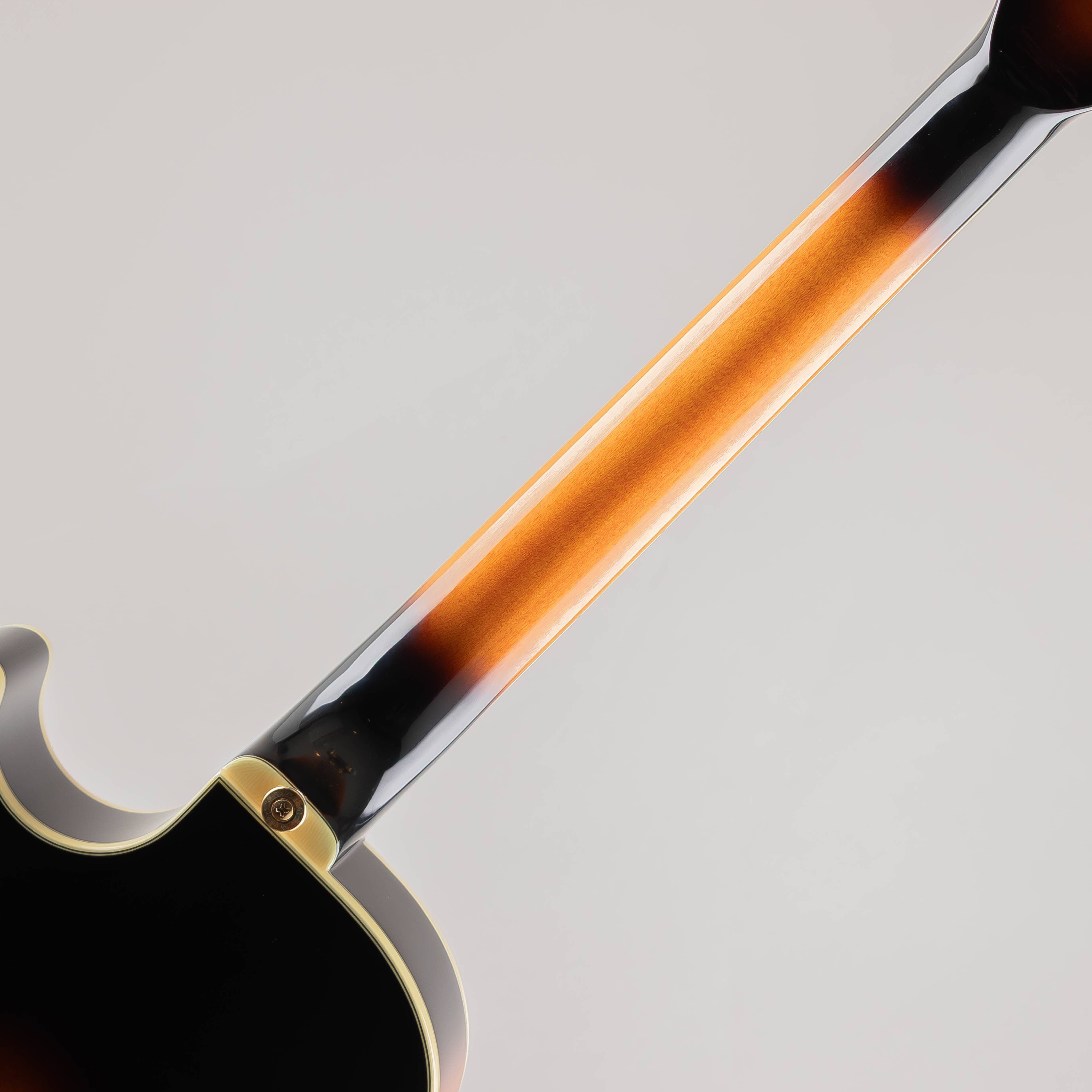 GB10 / Brown Sunburst