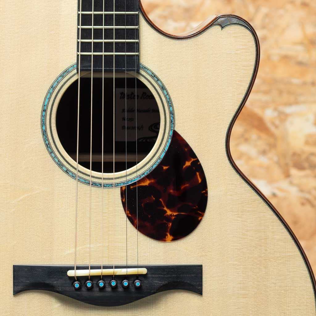 Deep Arte Cutaway Kishibe Masaaki Model