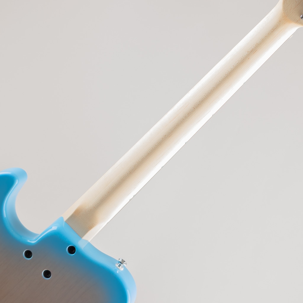 TTL-201 / White Blue Shade