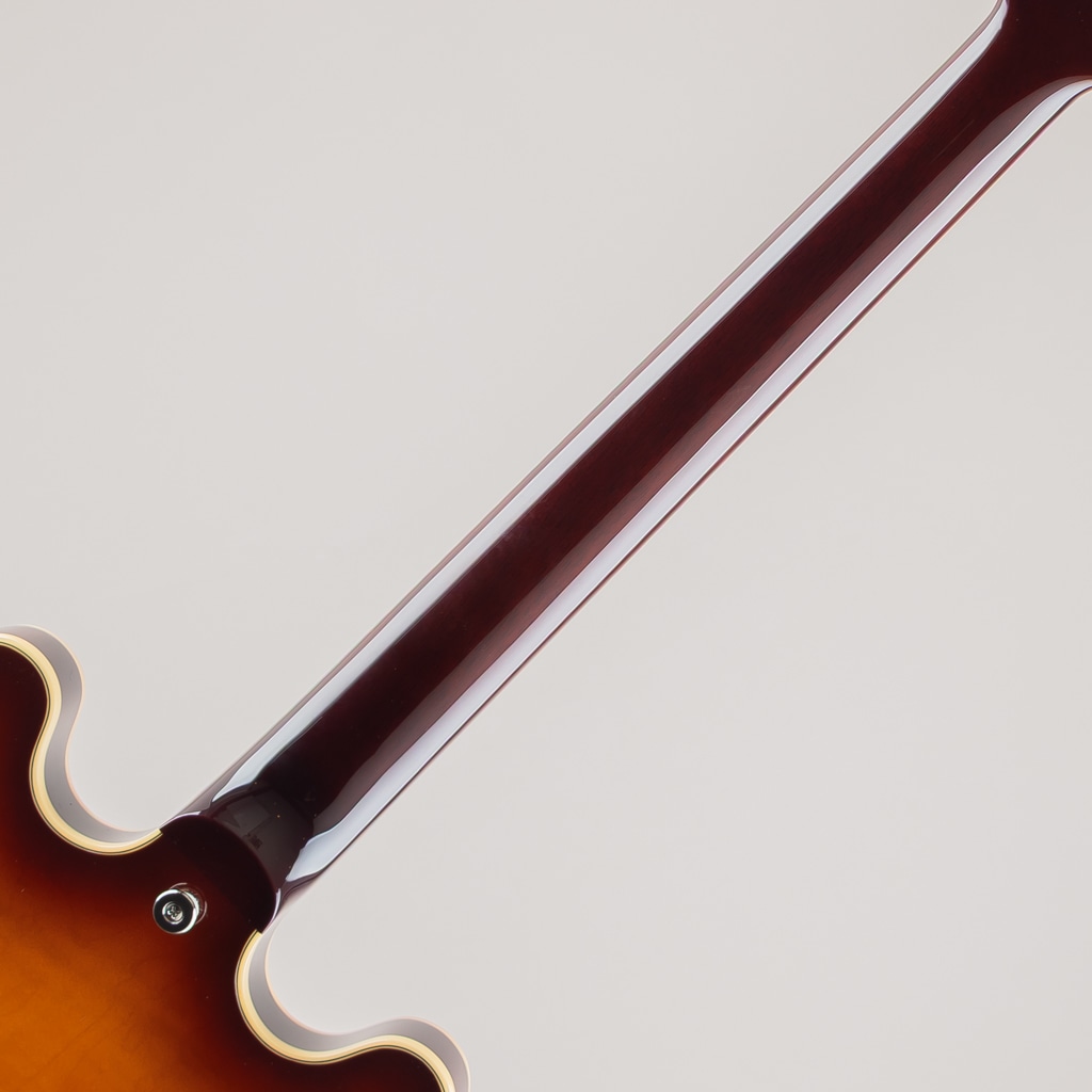 MSA-SP / Antique Sunburst