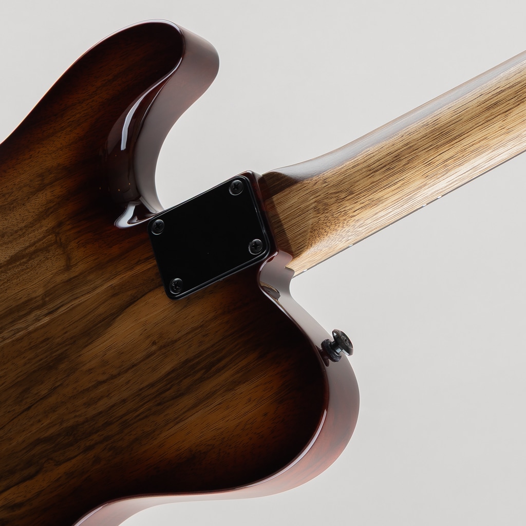 Custom Classic T Brown Burst w/Black Limba Body/Neck