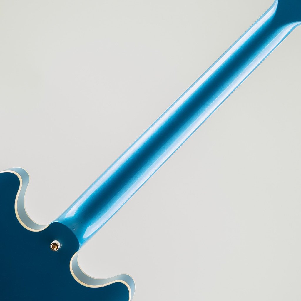 TA-TONIC / Lake Placid Blue: エレキギター｜三木楽器公式通販サイト