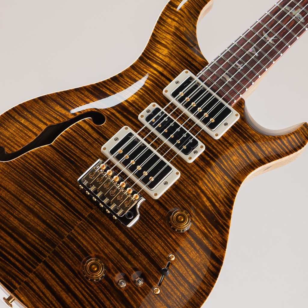 40th Aniversary Special Semi-Hollow Limited Edition Yellow Tiger 2025