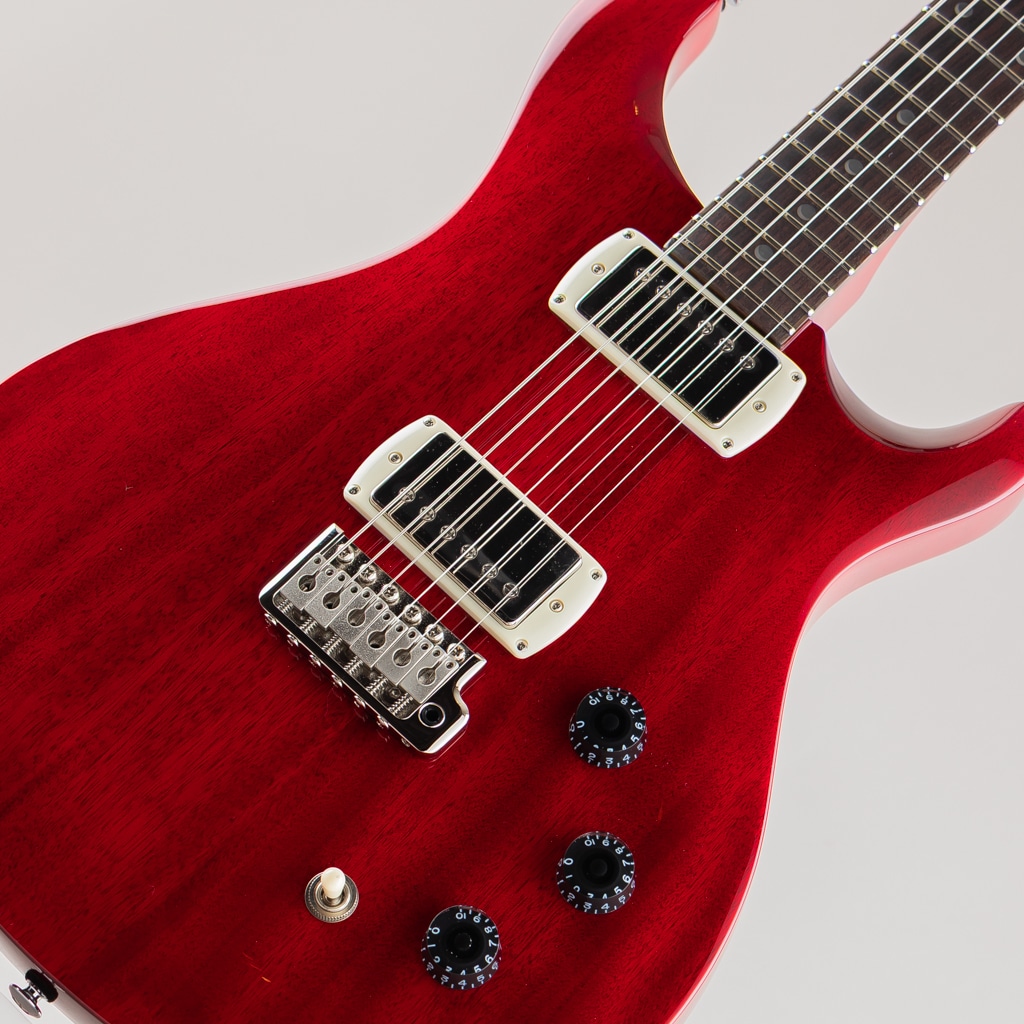 SE DGT Standard/Vintage Cherry【2025】